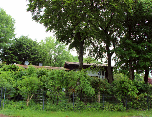 Ansicht von außen Ferienhaus Vogelsbergblick