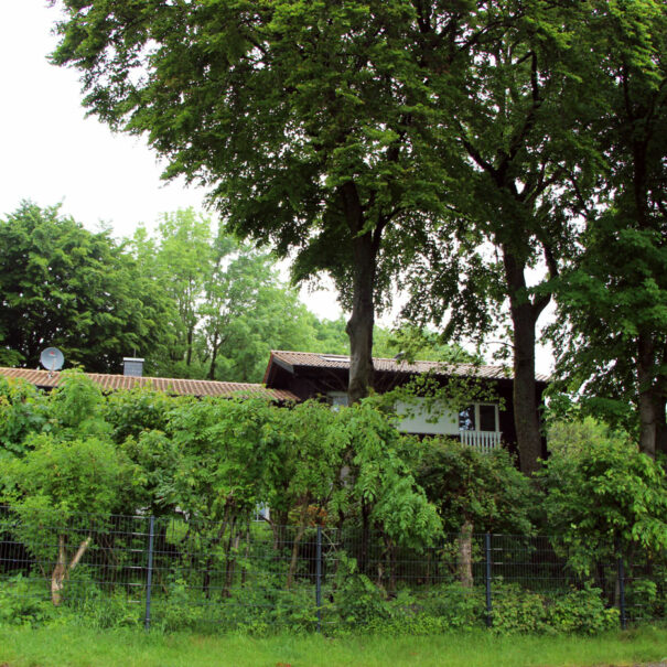 Ansicht von außen Ferienhaus Vogelsbergblick