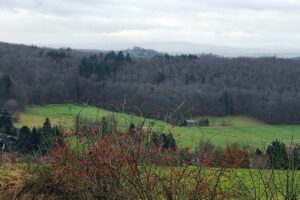 E1 Betzenrod Einartshausen Blick auf Storfels