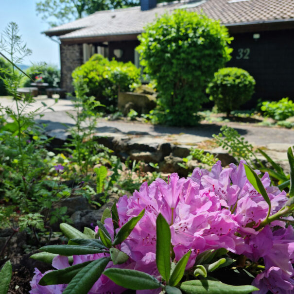 Einfahrt zum Ferienhaus Vogelsbergblick