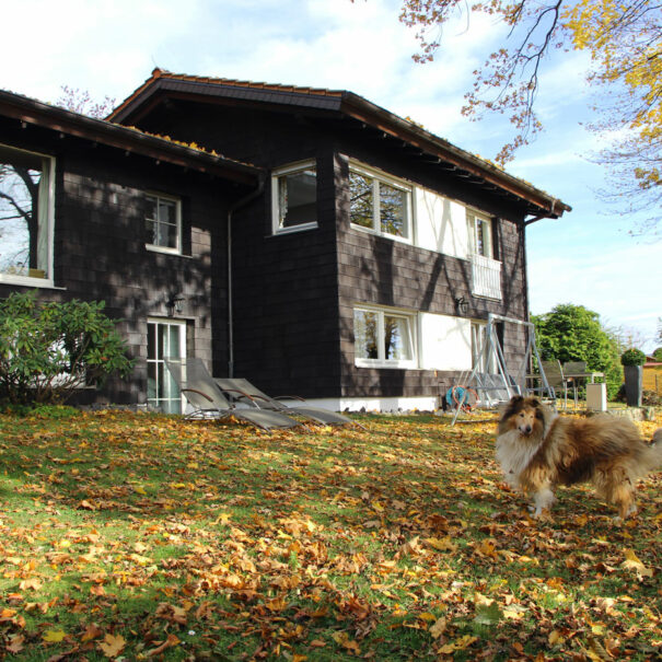 Garten mit Scotty Ferienhaus Vogelsbergblick