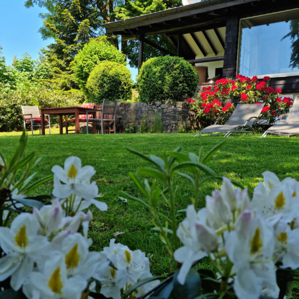 Blick vom Garten zum Sitzplatz