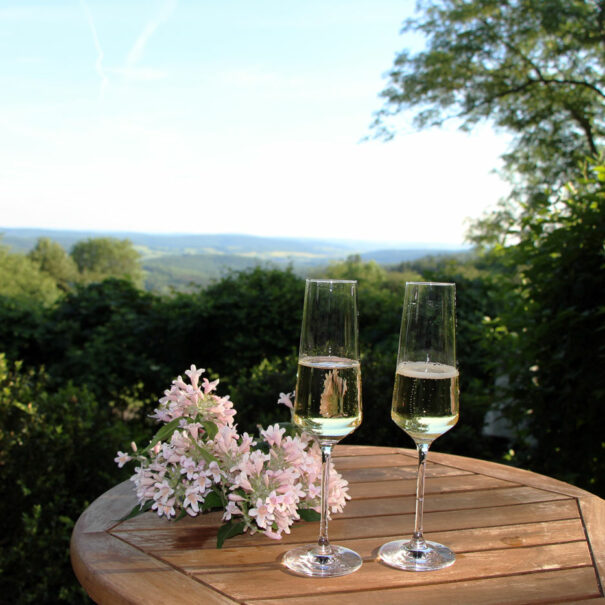 Aussicht von der Terasse mit Sekt im Ferienhaus Vogelsbergblick